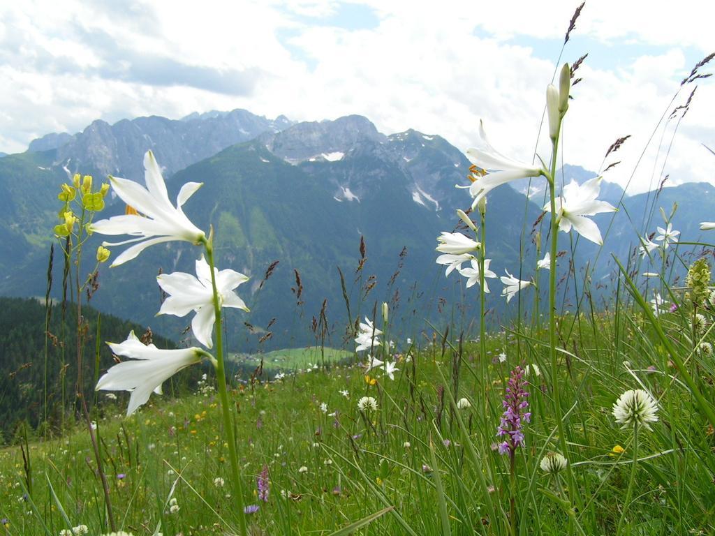 Gasthof Zum Loewen Sankt Jakob im Lesachtal Buitenkant foto