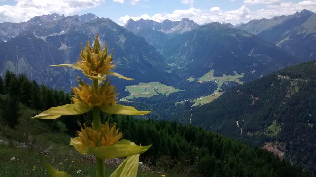 Gasthof Zum Loewen Sankt Jakob im Lesachtal Buitenkant foto