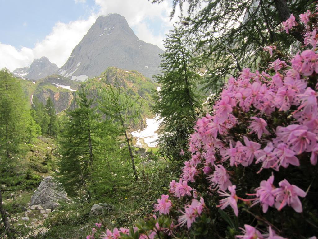 Gasthof Zum Loewen Sankt Jakob im Lesachtal Buitenkant foto