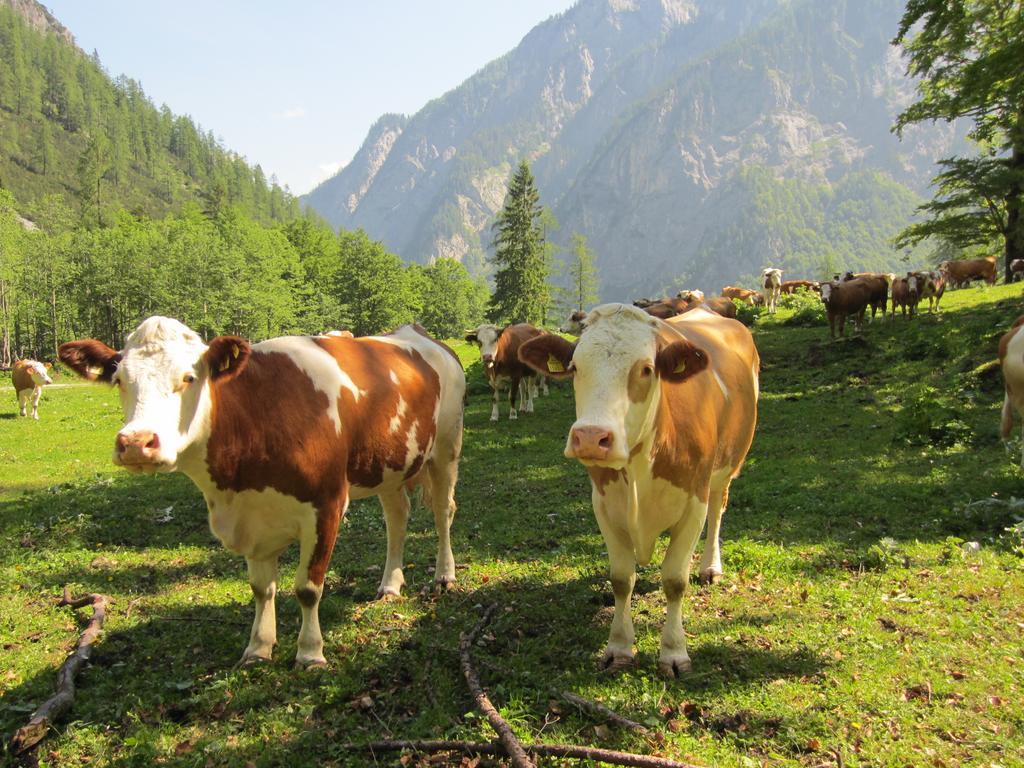 Gasthof Zum Loewen Sankt Jakob im Lesachtal Buitenkant foto